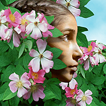 Surrounded by fluttering, pink blossoms and dense, glossy leaves, she was well hidden from her brother and his uncle.